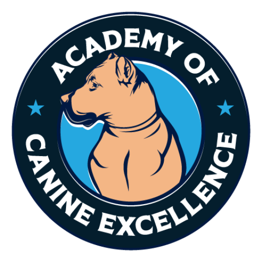 Professional Dog Training - Academy of Canine Excellence